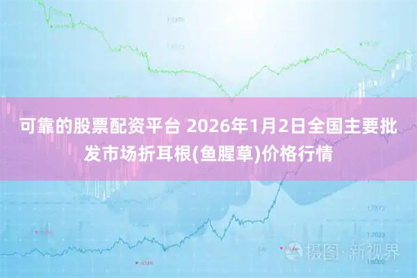 可靠的股票配资平台 2026年1月2日全国主要批发市场折耳根(鱼腥草)价格行情